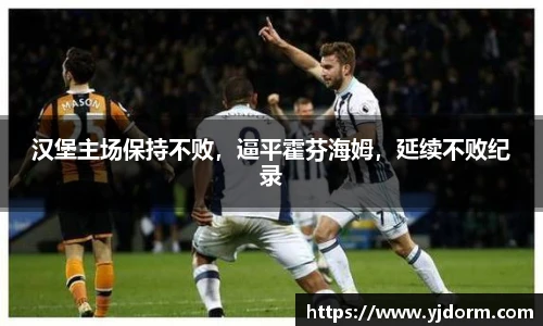 汉堡主场保持不败，逼平霍芬海姆，延续不败纪录